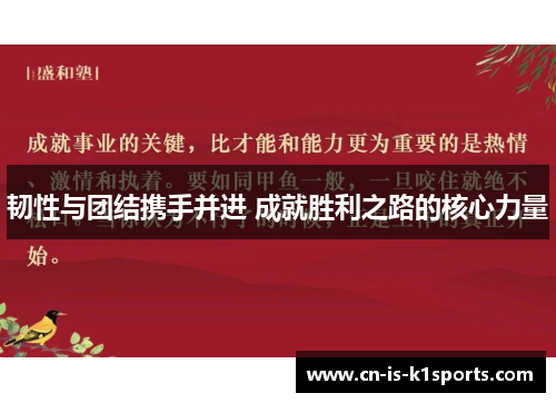 韧性与团结携手并进 成就胜利之路的核心力量
