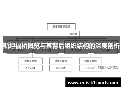 斯坦福桥概览与其背后组织结构的深度剖析