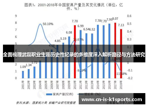 全面梳理武磊职业生涯历史性纪录的多维度深入解析路径与方法研究