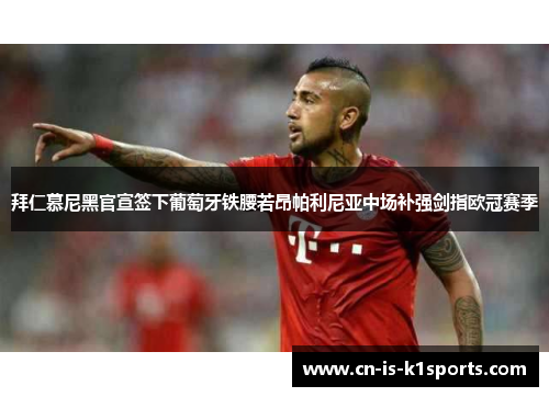 拜仁慕尼黑官宣签下葡萄牙铁腰若昂帕利尼亚中场补强剑指欧冠赛季